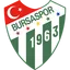 Футбольный клуб Бурсаспор
