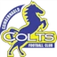 Футбольный клуб Cumbernauld Colts