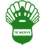 Футбольный клуб HVV Te Werve