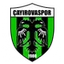 Футбольный клуб Cayirovaspor