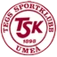 Тегс СК