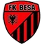 Футбольный клуб FK Besa
