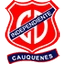 Футбольный клуб Independiente Cauquenes