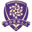 Футбольный клуб Shenzhen Ledman
