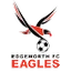Эджворт Иглз