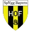 Футбольный клуб Байерн Хоф