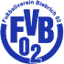 Футбольный клуб FV Biebrich 02