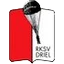 Футбольный клуб RKSV Driel
