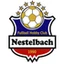 Футбольный клуб HC Nestelbach