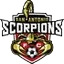 Футбольный клуб ФК Сан Антонио Скорпионс