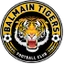 Футбольный клуб Balmain Tigers FC