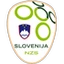 Футбольный клуб Словения (до19)