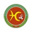 Футбольный клуб Hubei Huachuang