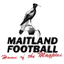 Футбольный клуб Маитленд