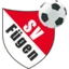 Футбольный клуб SV Fuegen
