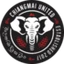 Футбольный клуб Chiangmai United