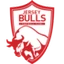 Футбольный клуб Jersey Bulls
